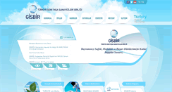 Desktop Screenshot of gisbir.org